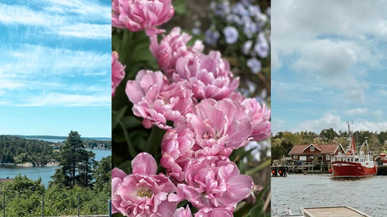 Sommer%20sarpsborg%202